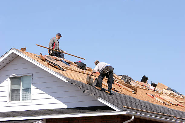 Best Sheet Metal Roofing  in Newark, TX